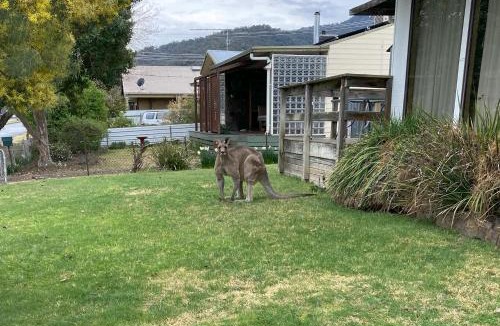 Mount Beauty House | Kiewa View