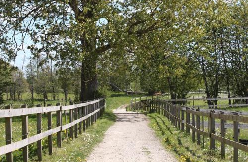 Kokkedal House | Kildegaarden