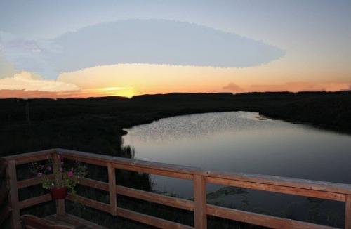 Sparks Cabin | Killdeer Nook Guest Cabin