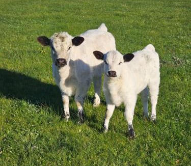 Leopold House | Kilmoyla Farm Stay