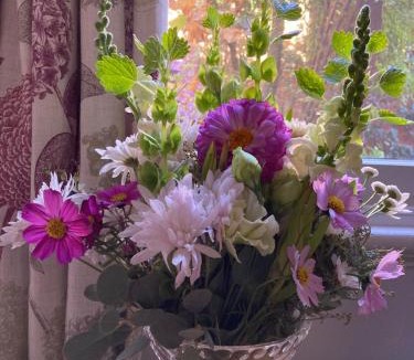 Benalla House | Kilparney House