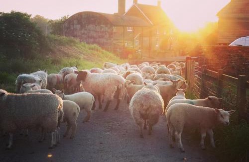 Petworth Bed & Breakfast | Kilsham Farm