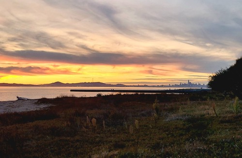 Alameda Cottage | King Bed/Fenced yard/Pets welcome