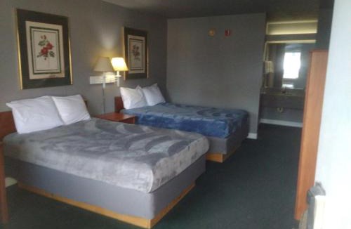 Livingston Apartment | King Bed Hotel Studio 102
