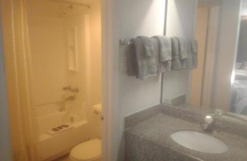 Livingston Apartment | King Bed Hotel Studio 118