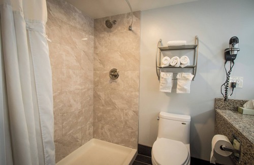 Henderson Hotel | King Bed Smoking No Pet