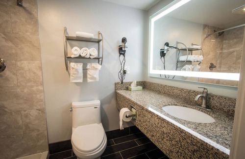 Henderson Hotel | King Bed Smoking No Pet