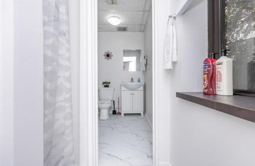 Centretown West Apartment | King Bed Studio Apartment - Near Chinatown