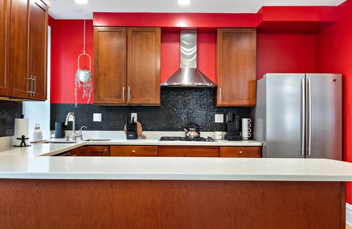St. Louis Apartment | King Beds, Grove, Walkable to Forest Park, BJC, Pet friendly