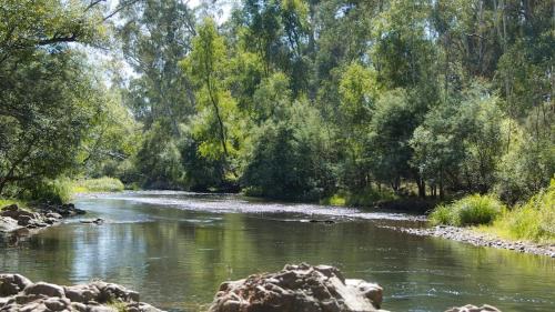 Edi House | King Edi Cottage