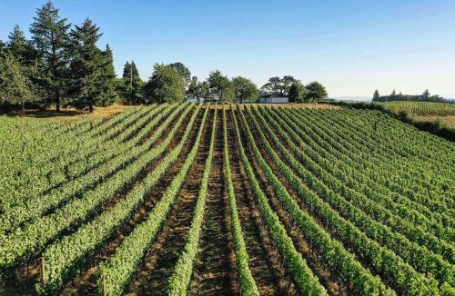 Newberg House | King's Queen