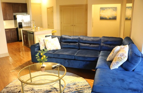 South Main Apartment | King Size Beauty. NRG/Med Cntr