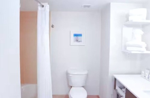 Wesley Chapel Hotel | King Size With Sofa Bed | Work & Relax Space + Breakfast