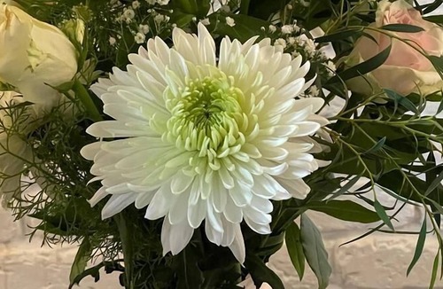 Royston Hotel | King William IV