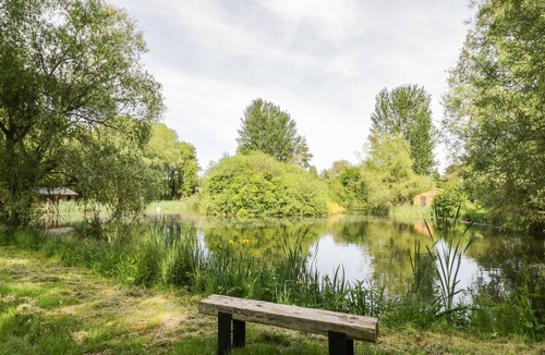 Frankton Cottage | Kingfisher