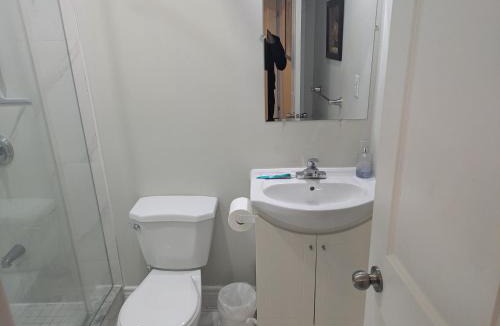 Mount Pleasant House | Kings Palace Basement