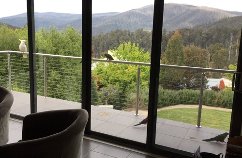 Marysville House | KINGS VIEW - Breathtaking mountain views