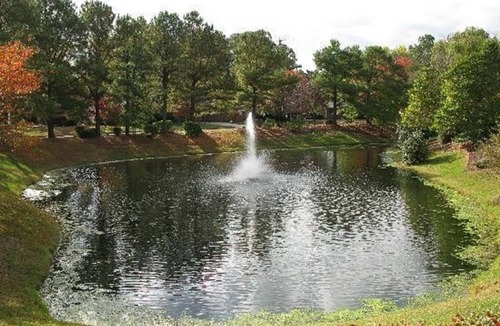 Williamsburg Condo | Kingsgate- HUGE SALE NOW!