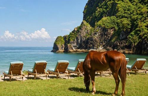Sekongkang Other | Kirana Retreat - Beach Front Resort