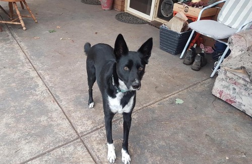 Grovedale Bed & Breakfast | Kismet B&B