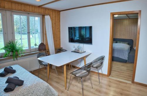 Goldswil Apartment | Kiwi Chalet - Mountain Views & Cozy NZ Vibes