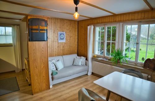 Goldswil Apartment | Kiwi Chalet - Mountain Views & Cozy NZ Vibes