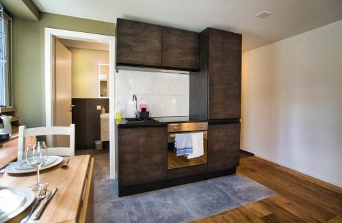 St. Gallen Apartment | Klara 0002 - Olma, Spital, Uni St- Gallen