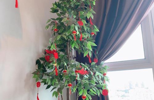 Taman Kok Lian Apartment | KLCC view - Jalan Kuching Boulevard Service Apt