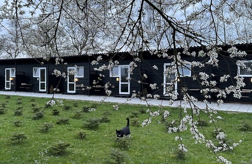 Ullerslev Bed & Breakfast | Klokkehoej