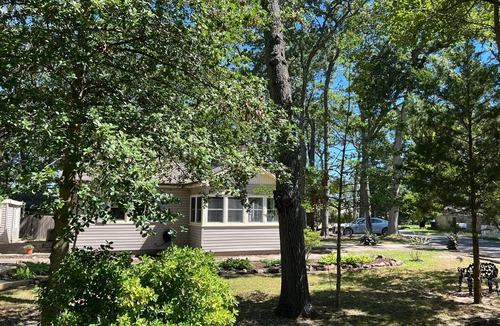 Cedarcroft House | Knotty Pine by the Shoreline