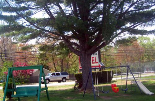 Salisbury Hotel | Knotty Pine Motel