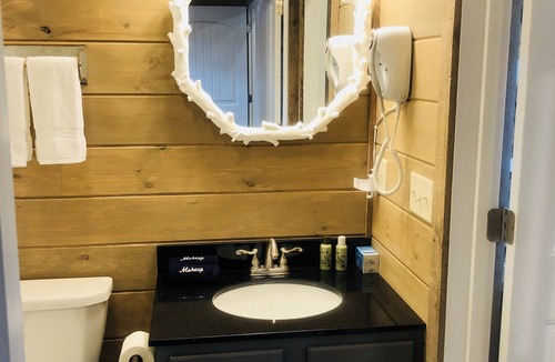 Mountain View Cabin | Knotty Squirrel Unit 2 King Suite with Ladder Loft