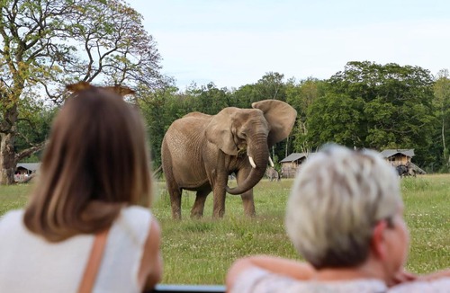 Bandholm Resort | Knuthenborg Safaripark