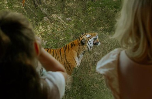 Bandholm Resort | Knuthenborg Safaripark