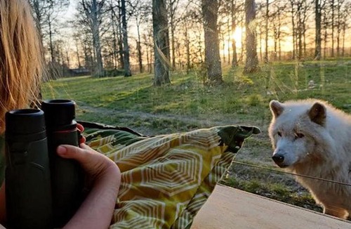 Bandholm Resort | Knuthenborg Safaripark