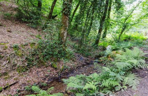 Saint-Nicolas des Eaux Cabin | KOADOu
