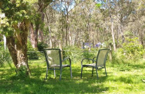 Raymond Island House | Koalas Songs