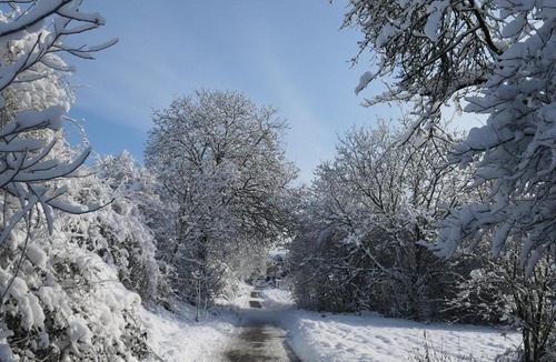 Pfulgriesheim House | Kogite