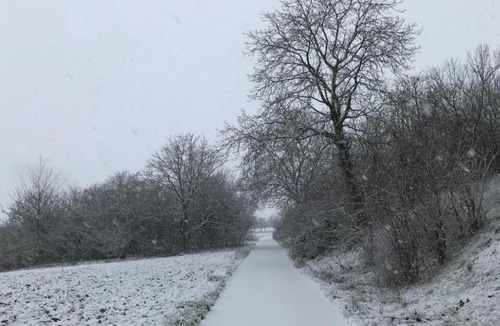 Pfulgriesheim House | Kogite