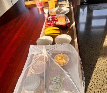 Franklin District House | Kohanga Farmstead