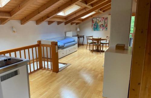 Thun Apartment | Kohlerenschlucht