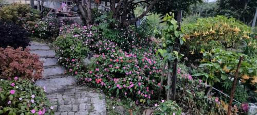 Kundasang House | KOMOWANAN HOMESTAY