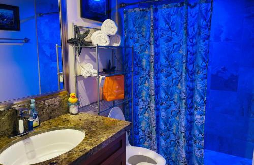 Kahaluu Bay House | Kona Magic Honu Room