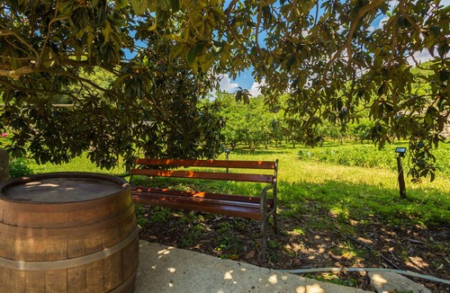 Popovici Apartment | Konavle Apartments Zlatovisce 3