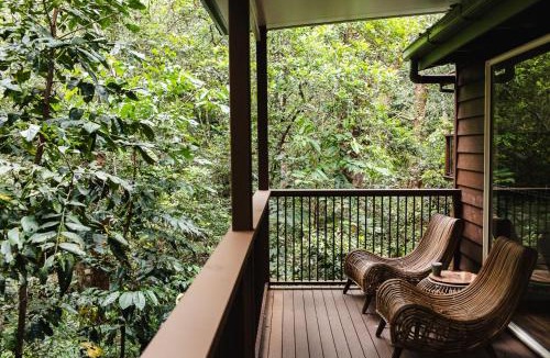 Montville Resort | Kondalilla Eco Resort