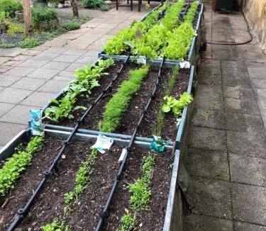 Mandoe Hotel | Kongeåkroen