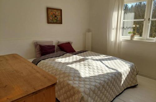 Thorsoe Bed & Breakfast | Kongsø Bed & Breakfast