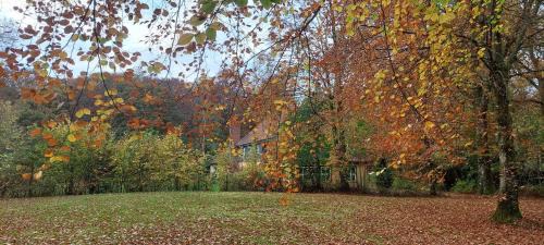 Thorsoe Bed & Breakfast | Kongsø Homestay - room by Mette&Peter