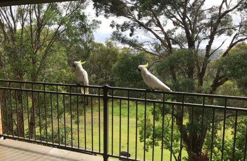 Berowra Heights House | Kookaburra Retreat