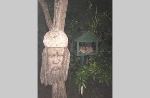 Berowra Heights House | Kookaburra Retreat